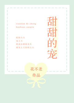甜甜的宠小说全文免费阅读
